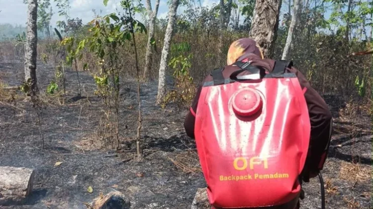 Brigade Pengendalian Karhutla Dishut Kalsel Ikut Jinakkan Api