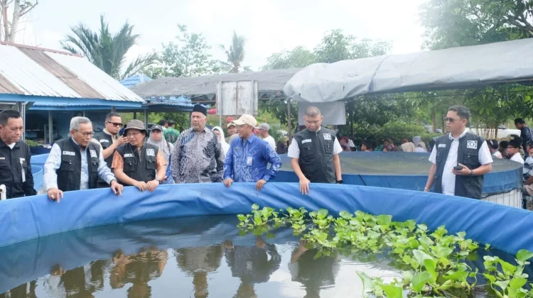Komisi II DPRD Kalsel Perjuangkan Sumur Bor Untuk Kelanjutan Pembudidaya Haruan