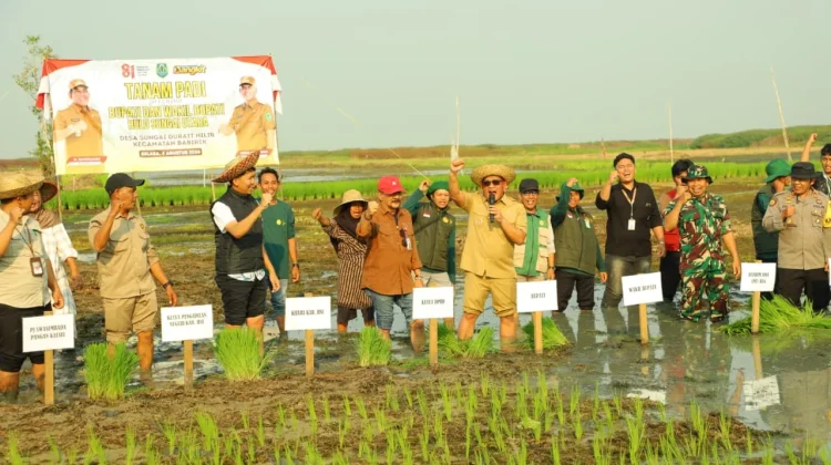 Dispertan Kalsel Apresiasi Produktifitas Pertanian HSU saat Musim Kemarau