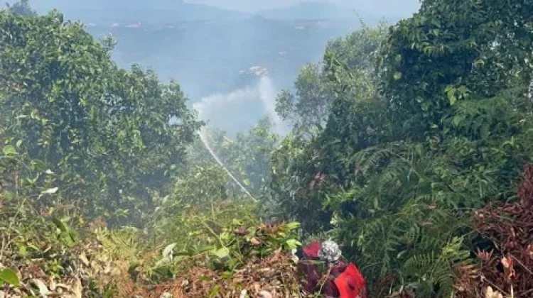 Karhutla Mengancam, Wisata Tahura Sultan Adam Ditutup
