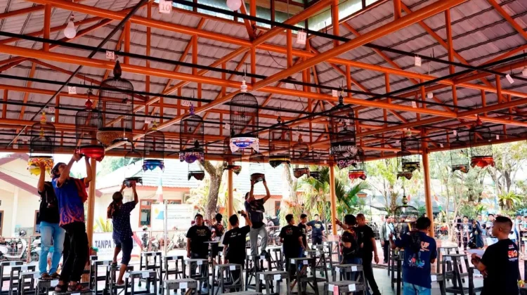 Hobi Burung Gerakkan Ekonomi Banjarmasin