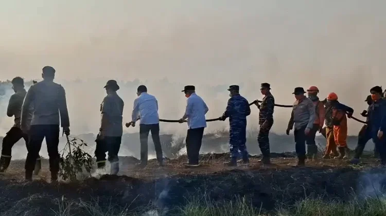 Gubernur H. Muhidin Bersama Forkopimda Turun Padamkan Api Karhutla