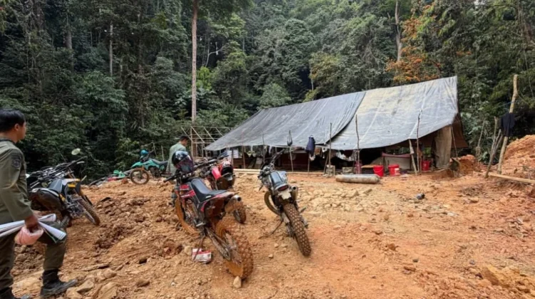 Belasan Pondok Tambang Emas Ilegal ditemukan di Hutan Tabalong