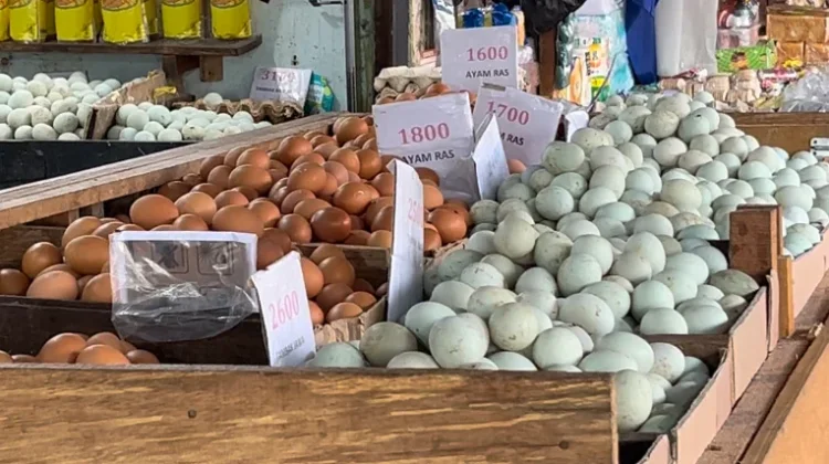 Harga Telur Relatif Terkendali, Permintaan Meningkat jelang Maulid