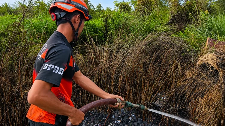 Banjarmasin Catat 27 Kebakaran Lahan, Warga Diminta Waspada