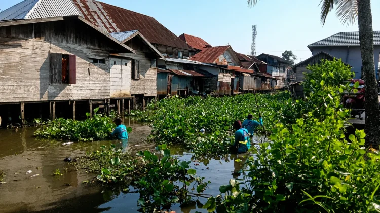 Penanganan Sampah Kiriman Hulu Masih Nihil! Sungai Masih Dibersihkan Manual