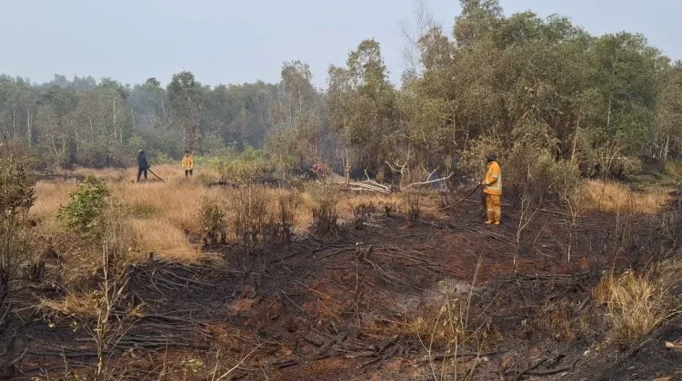 Karhutla di Puntik Dalam Meluas, Bangunan Kosong Ikut Terbakar