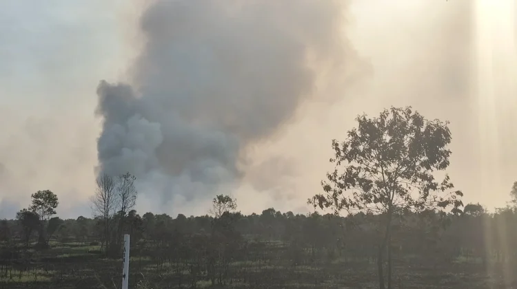 Delapan Kabupaten/Kota di Kalsel Tetapkan Siaga Darurat Karhutla