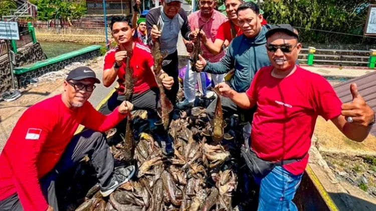 Festival Ikan Sapu-Sapu Banjarbaru Angkut 2,4 Ton Ikan Invasif dari Sungai Kemuning