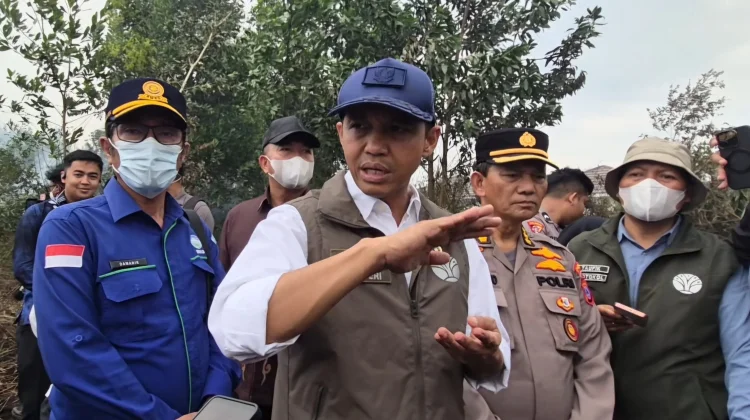 Menhut Raja Juli Pantau Langsung Penanganan Karhutla di Kalsel