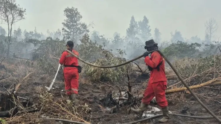 Antisipasi Puncak Kemarau Kalsel, Menhut Ingatkan Ancaman Krisis Air