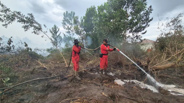 Karhutla Dekati Perumahan di Banjarbaru, Warga Mengungsi dan Siaga Malam