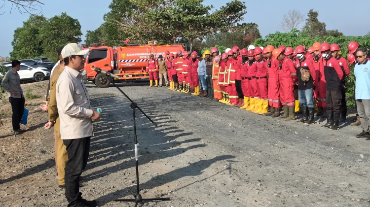 Wamenko Pangan Kebut Penanganan Karhutla Banjarbaru, Dua Minggu selesai