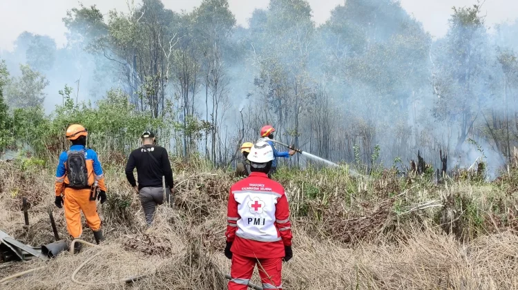 PMI Kalsel Kerahkan Relawan Hadapi Karhutla dan Kabut Asap