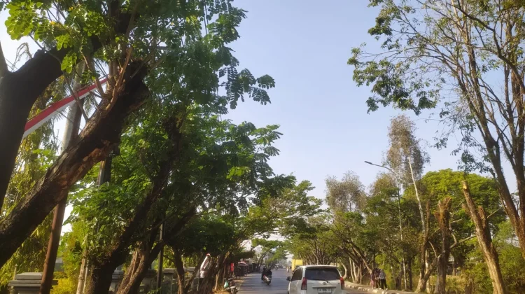 Kalsel Cerah Berawan, Bandara Syamsudin Noor Diselimuti Kabut Asap