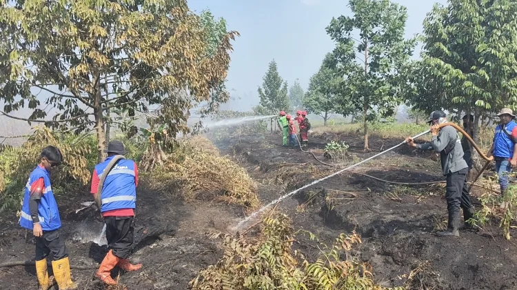 Belasan Perusahaan di Kalsel Terindikasi Kasus Karhutla