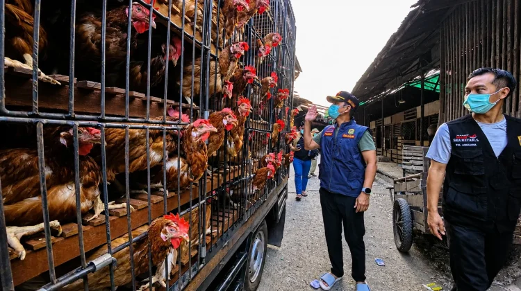 Mangkrak sejak 2023, Wali Kota Yamin Desak RPU Modern Segera Dioperasikan