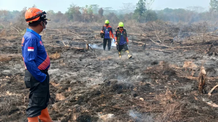 Antisipasi Api Susulan, BPBD Balangan Sisir Titik Rawan