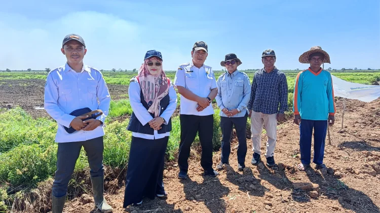 Program CSR Pertanian Dorong Percepatan Musim Tanam di Kabupaten Banjar