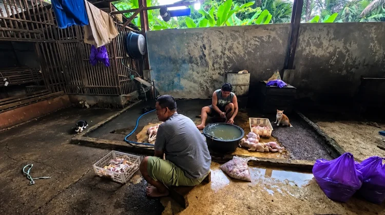 RPU Modern Basirih Tak Dilirik Investor, DKP3 Buat Skema Lain