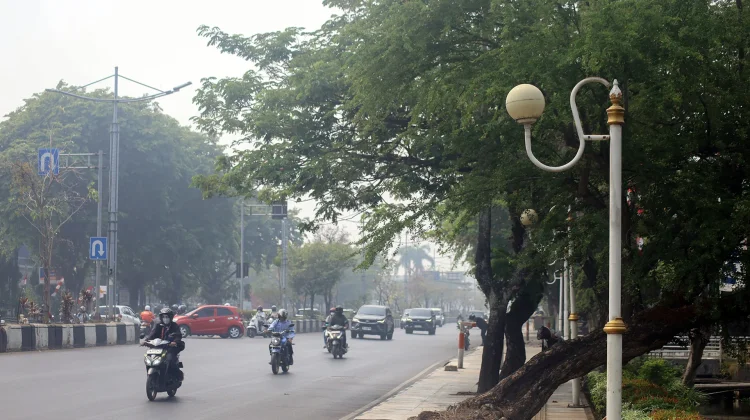 Cegah Dampak Kabut Asap, Ini Langkah Melindungi Diri