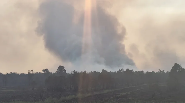 Karhutla Kalsel Tercatat 2.332 Kejadian, Lahan dan Hutan Terbakar 12.339,74 H