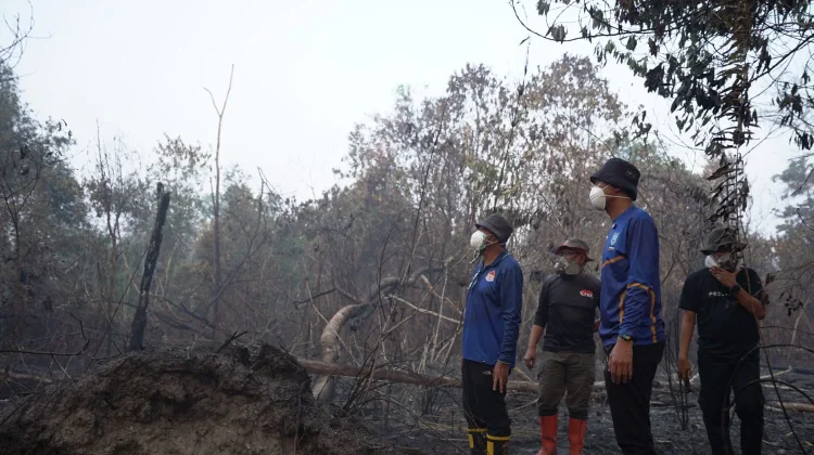 Karhutla Banjar Capai 1.192 Hektare, Kejadian Mulai Menurun