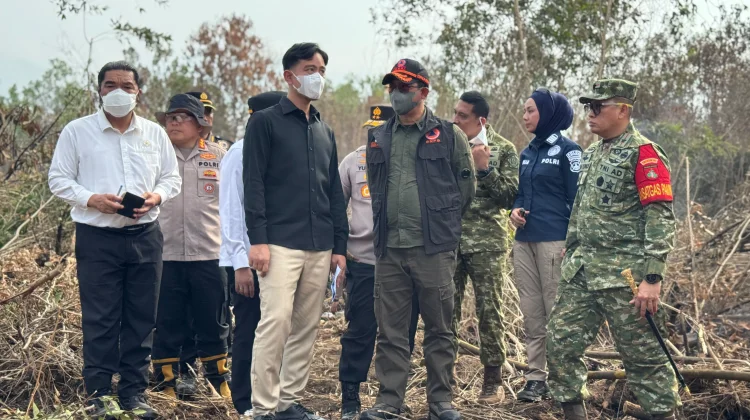 Wapres Minta Maaf Kalimantan Masih Kabut Asap