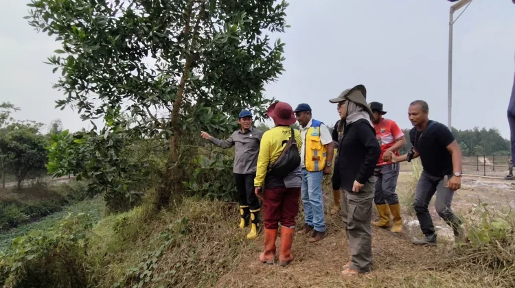 Wamenko Pangan: Gambut Gunung Damar Rusak Parah, Penanganan Karhutla Harus Diubah