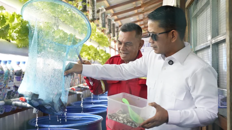 Sampah Sungai Andai Diolah Jadi Lele hingga Aquaponik