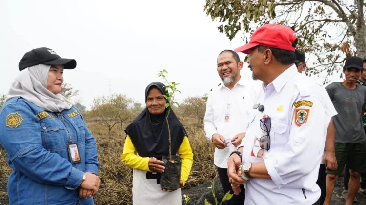Petani Keruk Terdampak Karhutla di Batola Terima Bantuan Bibit