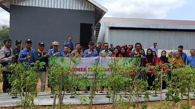 Distan Banjar Dorong Pertanian Modern melalui Farm Field Day