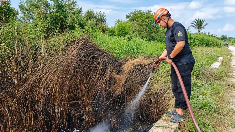Kebakaran Lahan Meluas, Banjarmasin Selatan Catat Kejadian Terbanyak