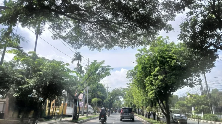 Kalsel Hari ini Cerah Berawan