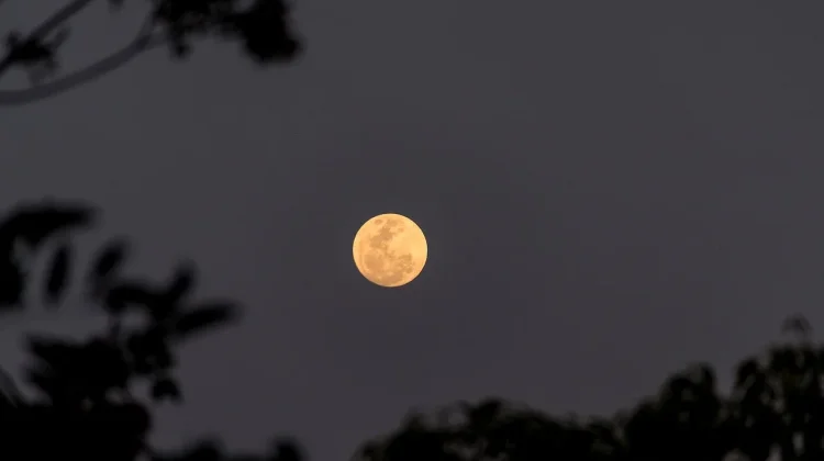 Harvest Moon Hiasi Langit Akhir September 2026