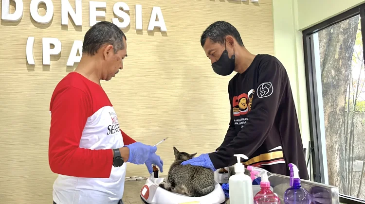 Cegah Zoonosis, DKP3 Banjarmasin Sediakan 200 Vaksin Rabies dan Vitamin Gratis