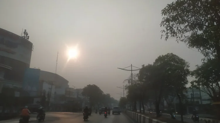 Kalsel Cerah dan Diprakirakan hujan Ringan di Sejumlah Wilayah