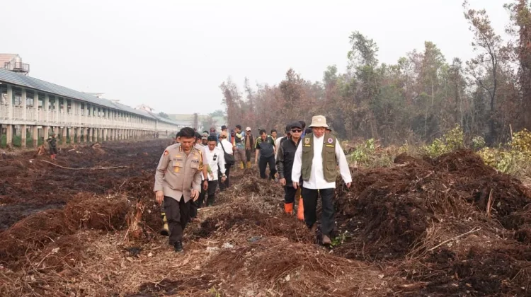 Tangani Karhutla Gubernur Kerahkan Ekskavator Bersihkan Lahan Kawasan RSJ