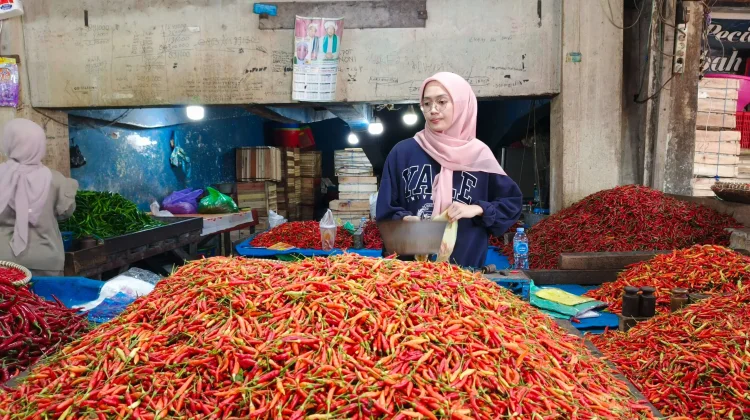 Kemarau Panjang Dorong Harga Pangan di Banjarmasin Naik