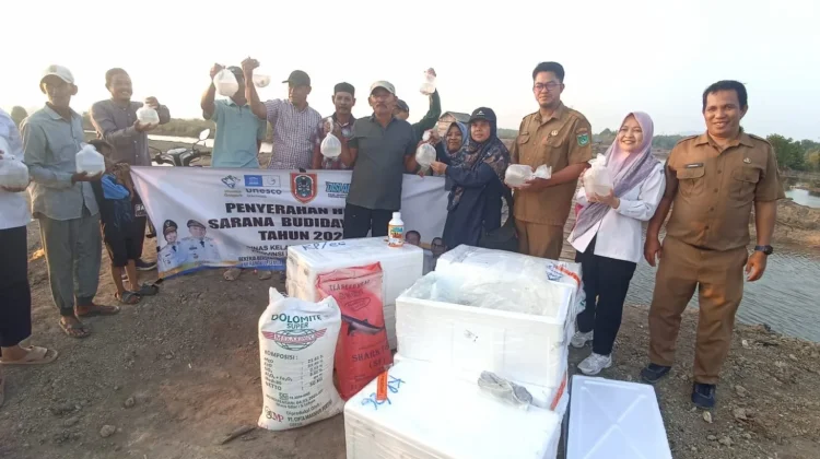Pemprov Kalsel Dorong Budidaya Udang Windu Naik Kelas