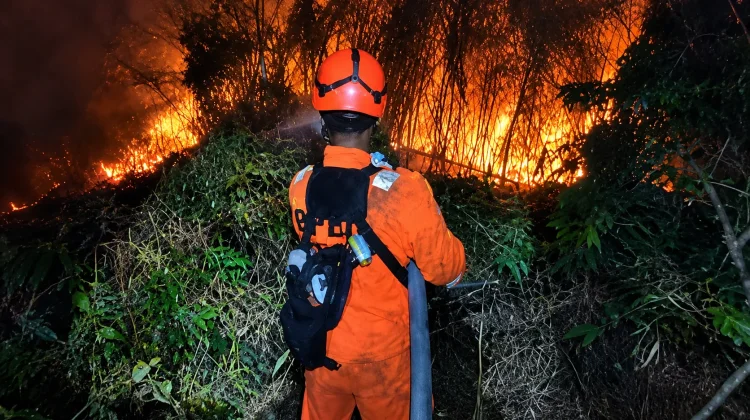 Kebakaran Lahan di Perbatasan Ancam Permukiman Banjarmasin