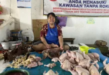 jelang Imlek dan Ramadan Harga Ayam Potong Naik