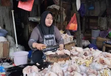 Menjelang Ramadan, Harga Ayam Ras Naik