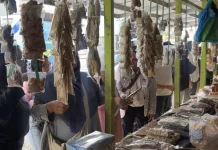 Sentra Ikan Asin Jorong Jadi Andalan Oleh-Oleh