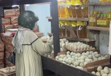 BPS Kalimantan Selatan Catat Fluktuasi Harga jelang Ramadan