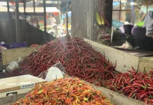 Sejumlah Komoditas Pangan Mengalami Fluktuasi Harga