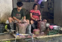 Dari Tabungan Kecil Badri Rintis Jualan Ikan Segar