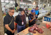 Pasokan dan Harga Daging Aman