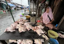 Awal Ramadan, Harga Daging Ayam di Banjarmasin Terus Naik