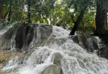 Air Terjun Tayak, Permata Alam di Lereng Pegunungan Meratus Kabupaten Balangan